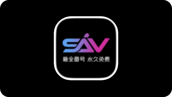 白鸽内容精选 4